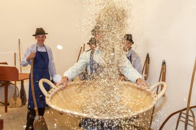 Dreschtag im Freilichtmuseum an der Glentleiten des Bezirks Oberbayern, Großweil