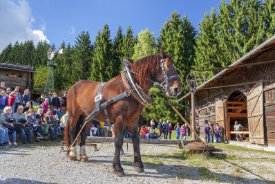 Dreschtag im Freilichtmuseum an der Glentleiten des Bezirks Oberbayern, Großweil