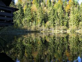 a_03 EglseeNaturdenkmal