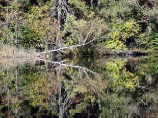 a_05 EglseeNaturdenkmal