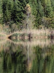 a_06 EglseeNaturdenkmal