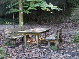 a_07 EglseeNaturdenkmal