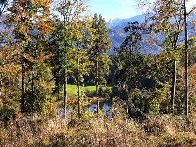 a_15 EglseeNaturdenkmal