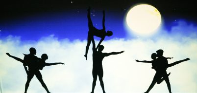 Amazing_Shadows_The_Silhouettes_08