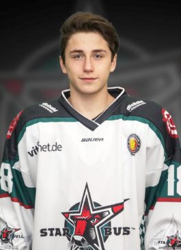 Enrico Henriquez-Morales