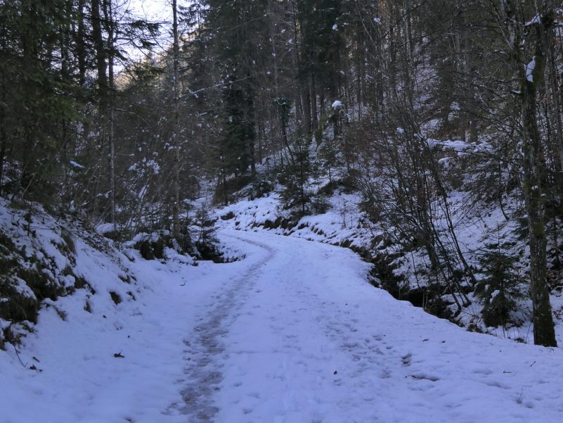 P08WanderungThierbergkapelle