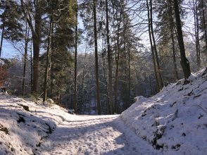 P10WanderungThierbergkapelle