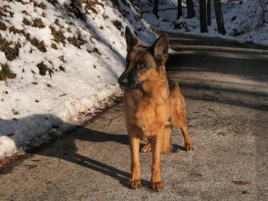 P19WanderungThierbergkapelle