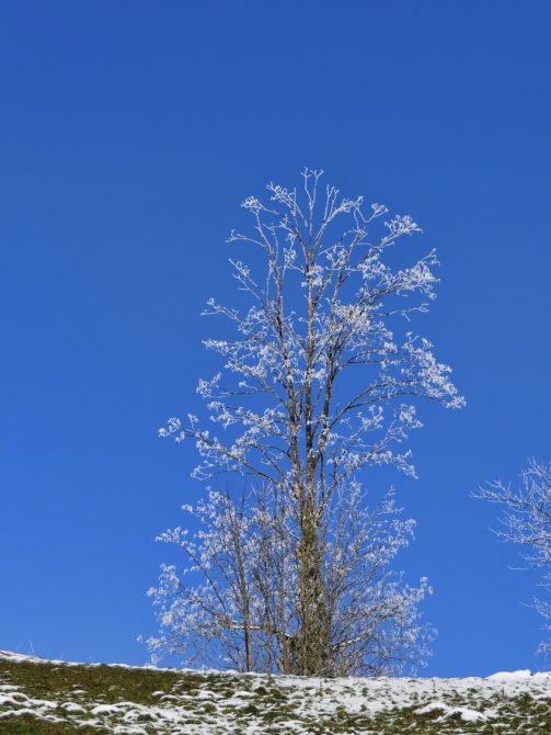 P28WanderungThierbergkapelle