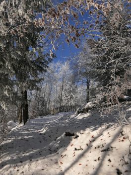 P31WanderungThierbergkapelle