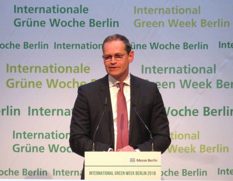 IMG_4818_mk_HelAmbueller_mk_HelAmb