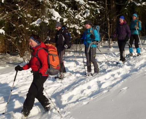 Schneeschuh-Schnuppern II