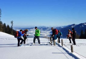 Schneeschuhschnuppern III