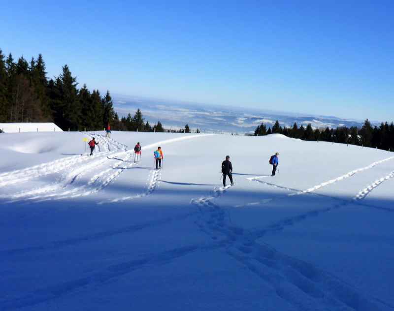 Schneeschuhschnuppern V