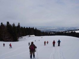 Schneeschuhschnuppern 2 VI
