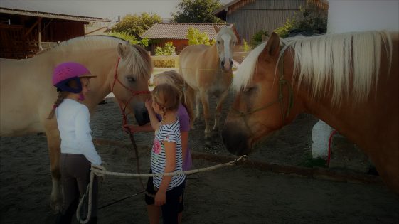 Soziales Miteinander