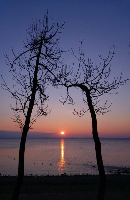 kl-20180224_173227~2