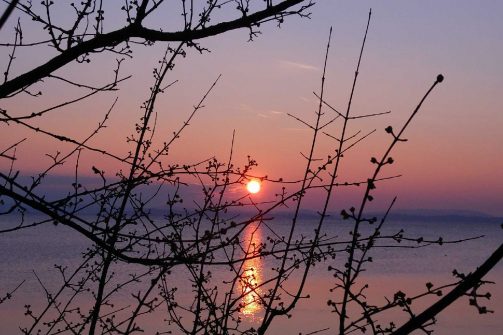 kl-20180224_173302~2