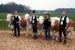 1VierSieger2mitHintergrund