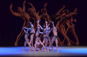 3_SHADOWS IN MOTION_c_Jon Lehrer