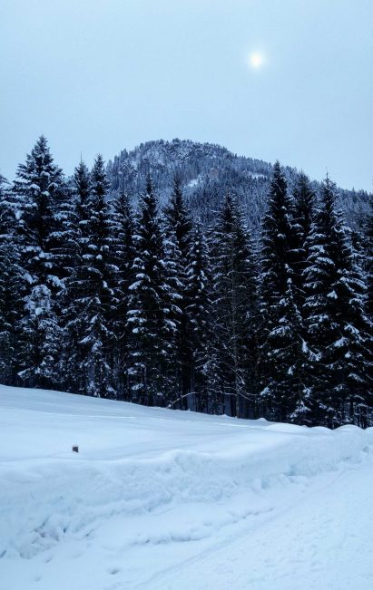 kl-20180301_113710~2