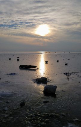 kl-20180301_164923~2