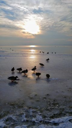 kl-20180301_165736~2