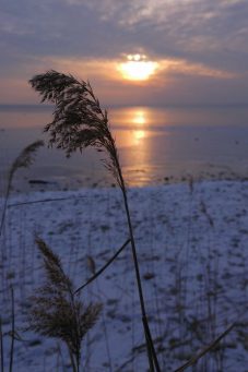 kl-20180301_171314~2