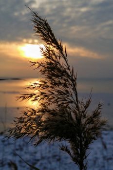 kl-20180301_171407~2