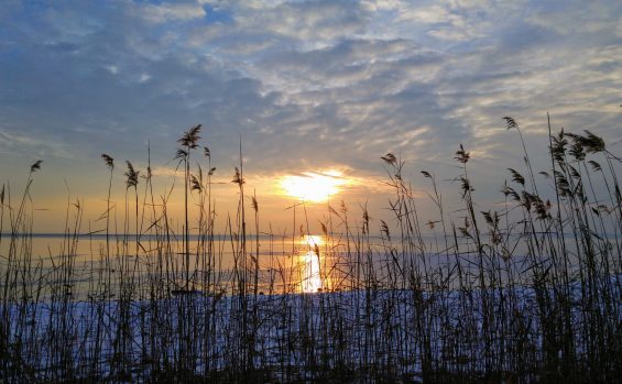 kl-20180301_171606~2