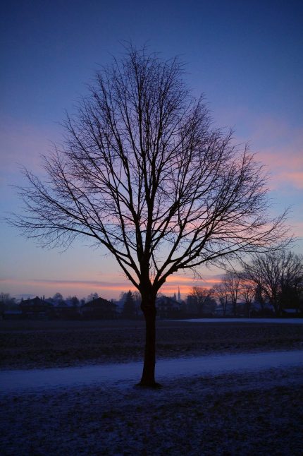 kl-20180303_064933~2