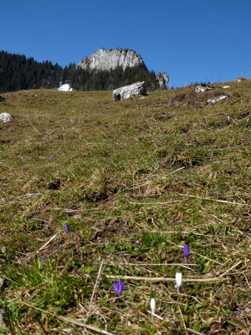 1_Heuberg-Wasserwand - Kopie