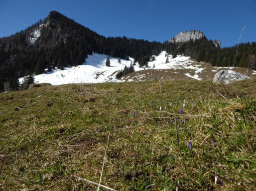 2_Heuberg-Kitzstein_u_Wasserwand - Kopie