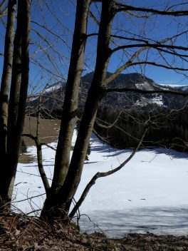 6_Daffner_Alm-Feichteck_Hochries - Kopie