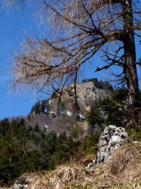 9_Heuberg-Kitzstein - Kopie