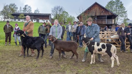 Großer Auftrieb 2016 im Freilichtmuseum Glentleiten, Großweil, Bayern
