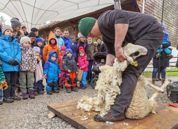 Großer Auftrieb 2016 im Freilichtmuseum Glentleiten, Großweil, Bayern