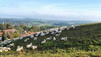 Frasdorf - Herbst. kl