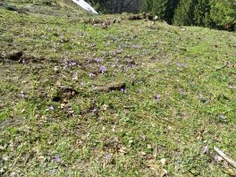 IMG_20180408_151730447_HDR