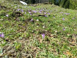 IMG_20180408_151735942_HDR