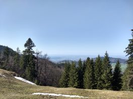 IMG_20180408_151811399_HDR