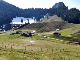 IMG_20180408_152038375_HDR