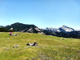 IMG_20180408_152210778_HDR