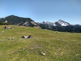 IMG_20180408_152215384_HDR