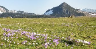 IMG_20180408_172811569_HDR