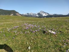 IMG_20180408_172821601_HDR