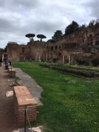 Jugendwallfahrt Rom 13