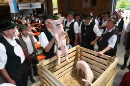 Kubi_Hoerzing_100J_Pferdezucht_180422 (14)