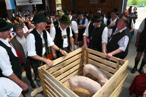 Kubi_Hoerzing_100J_Pferdezucht_180422 (15)