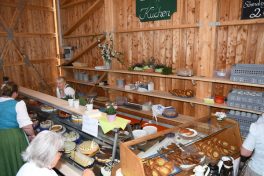 Kubi_Hoerzing_100J_Pferdezucht_180422 (19)